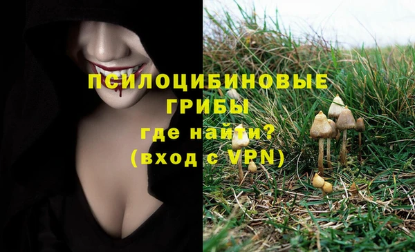 скорость Баксан
